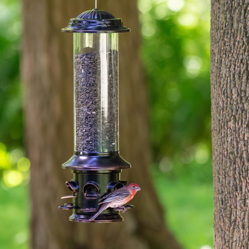 Squirrel-X X5 Bird Feeder, Discourages Squirrels 6 Spring Loaded Perches,