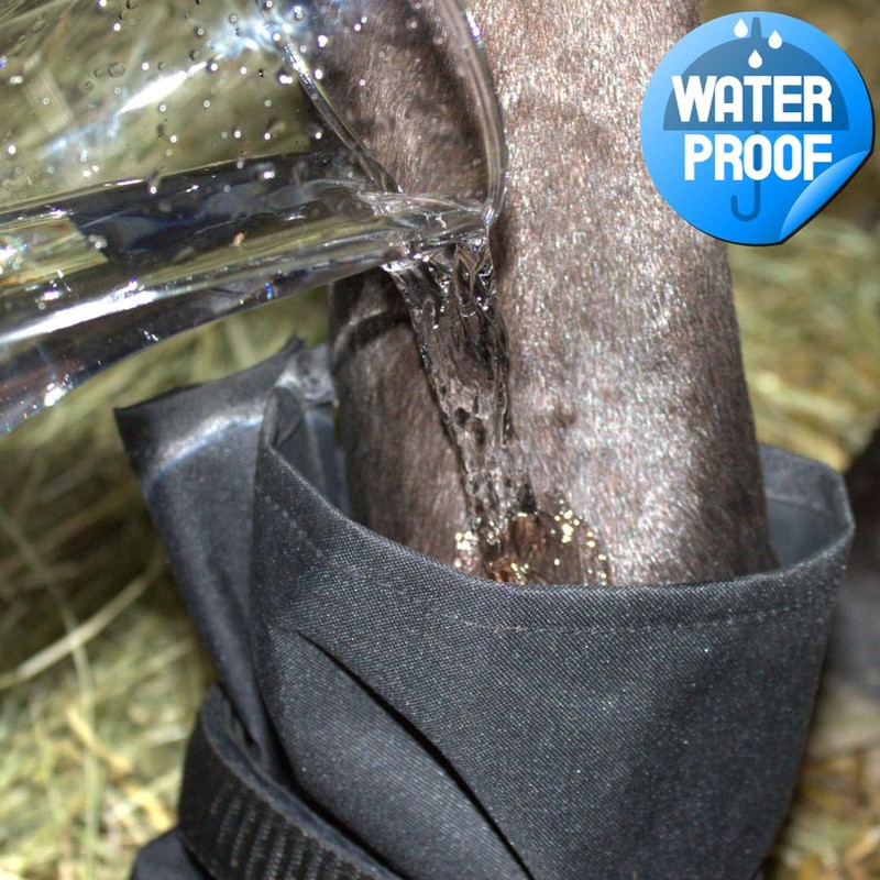 PFIFF 103109 Waterproof Hoof Shoe for Hoof and Claws Canvas
