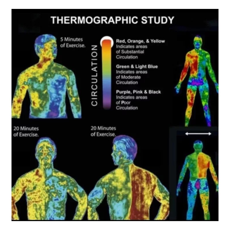 MAZ SADOOER Grema/gel Abdominal Reducir Reafirmar Abdomen Piernas Gluteo