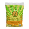 FLORAL Cactus and Succulent Potting Soil, 8 QT