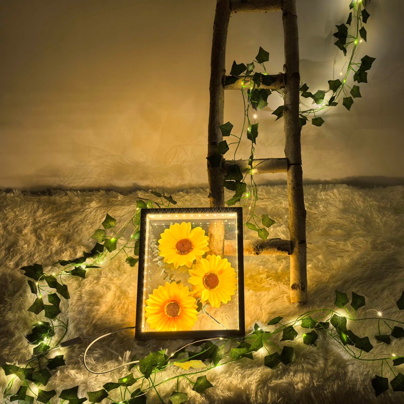HanYun Shadow Box Frame with LED Light, Box Frames for