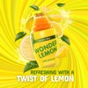Wonder Lemon Organic Lemon Mint Cold Pressed Juice, 8.45oz (6