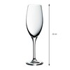 WMF Champagne Glass Easy Plus, Crystal, 26 x 10 x