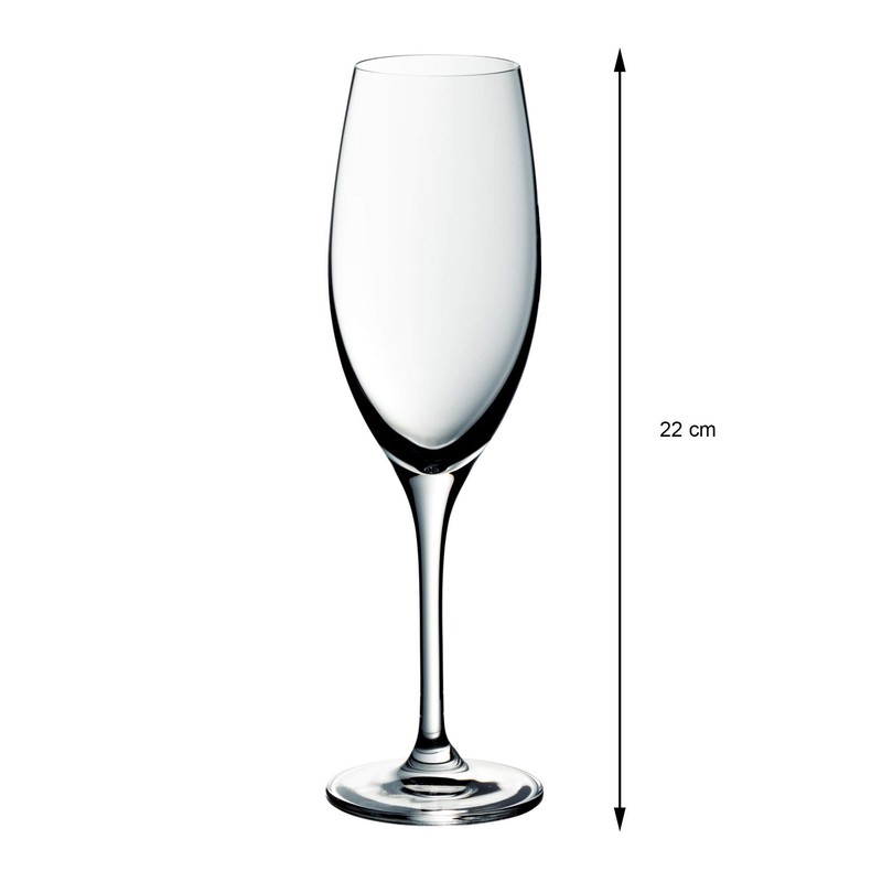 WMF Champagne Glass Easy Plus, Crystal, 26 x 10 x