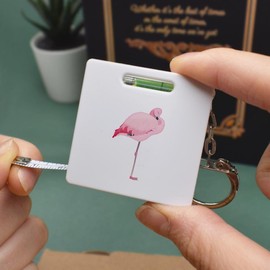 Azeeda 'Sleeping Flamingo' Keyring Tape Measure/Spirit Level Tool (KM00014443)