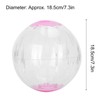 Pet Golden Hamsters Exercise Ball Toy Running Machine Transparent Jogging