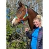 Equipride Rainbow Coloured Headcollar With Matching Lead Rope Chrome Fitting