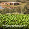 Extra Virgin Olive Oil Unadulterated - Colinas de Garzon -