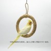Bird Swing, Bird Toy, Swing for Small Birds, Pet Swing,