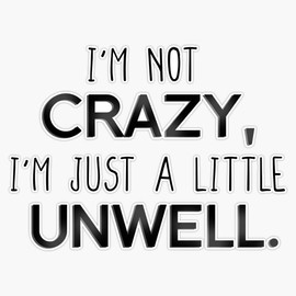 I'm Not Crazy, Just A Little Unwell - Matchbox Twenty Design Bumper Sticker Vinyl Decal 5 inches