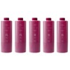 Set of 5 Pieces, Number Three Mulliam Treatment B, 21.2