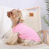 Cooling Vest for Dogs, Cooling Vest for Small Dogs, Cool