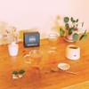 15 Sachets | Bushwick Tea | Jasmine Green Tea |