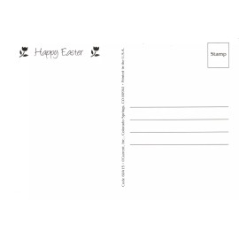 Happy Easter Friend Rabbit Bunny Squirrel Lop Eared Blank Postcard By Current