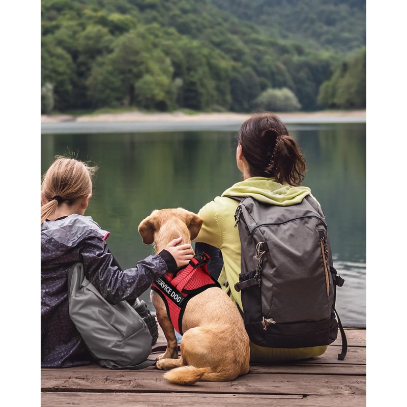 FAYOGOO Service Dog Vest for Small Breed - Lightweight Dog