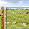 Insaga M16x 8'' J-Bolt Gate Hinge, 304 Stainless Steel J-Bolt