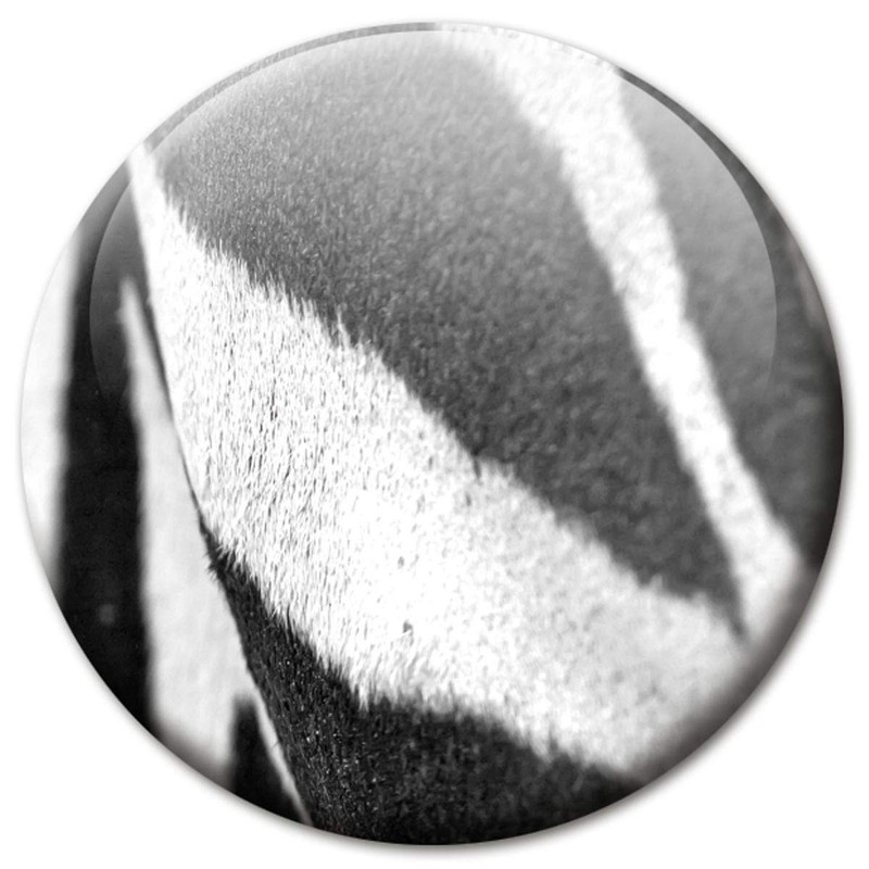 Fridge Magnets Zebra Stripes Set of 4 Animal Fur Look