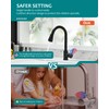 Black Kitchen Faucet with Pull Down Sprayer for RV Sink,