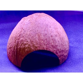 AquaEmporium Coconut shell aquarium For Cichlid Fish Hide Cave Aquarium Decoration Pleco Crab