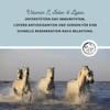 Annimally Selenium, Vitamin E, Lysine Powder for Horses, 800 g,