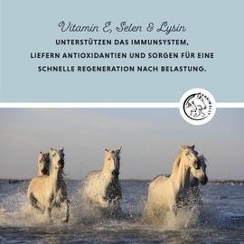 Annimally Selenium, Vitamin E, Lysine Powder for Horses, 800 g, Horse Vitamin E, Lysine, Selenium Complex to Support Muscles & Performance, Supplementary Feed for Horses and Ponies