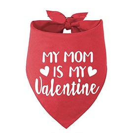 Bandana para perro del día de San Valentín, bufanda roja de San Valentín para perros medianos y grandes