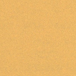 Bosch Professional Expert C470 Sandpaper without Holes (for Hardwood, Paint on Wood, 93 x 230 mm, Grit 100, Orbital Sander Accessories), Pack of 10