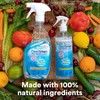 CleanSmart Daily Surface Spray Disinfectant, Kills 99.9% of Viruses, Bacteria,