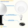 KastLite 12" Outdoor Light Post Globe Combo, Fits 3" Posts