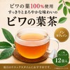 Gentle Non-Caffeine, Biwa Leaf Tea, 0.07 oz (2 g) x