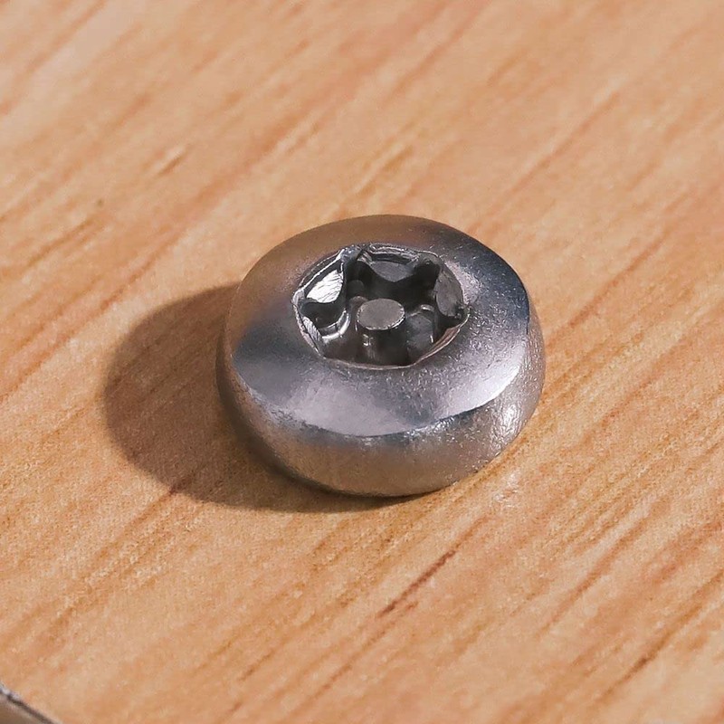 Glvaner (20 Sets) M6 x 16mm Pan Torx Head Tamper
