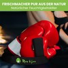 Mon Bijou Bamboo Activated Carbon Natural Deodorizer Odour Remover Freshener