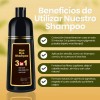 Shampoo Y Tinte Instantneo Cubre Canas Natural Jengibre F