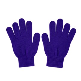 Purple Winter Gloves for Women Men Warm Knit Gloves Clod Weather Stretchy Magic Glove Adults Full Finger Mittens Purple One Size