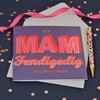 Welsh Mother's Day Card, Fy Mam Fendigedig, text foiled in