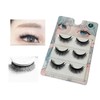 DIANA False Eyelashes, Magnetic False Eyelash Start Kit, 3 Types,