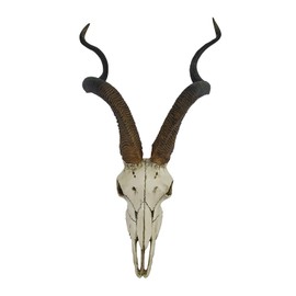 Veronese Design African Kudu Antelope Skull Wall Hanging Cool Twisted Horns