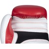 TOP TEN Star XLP Boxing Gloves 10 oz Red