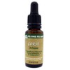 Feel Bach! Flower Essence Dropper Gorse, 20ml, 0.7 Fl Oz