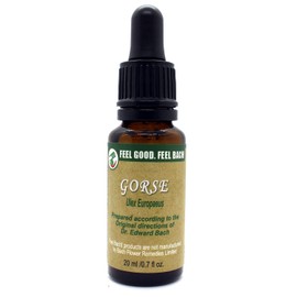 Feel Bach! Flower Essence Dropper Gorse, 20ml, 0.7 Fl Oz