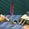 Feather Pen Set with 10 Interchangeable Nib Fire Lacquer Wax