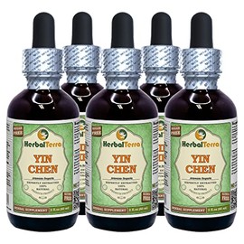Yin Chen, Capillary Wormwood (Artemisia Scoparia) Glycerite, Dried Herb Alcohol-FREE Liquid Extract (Brand name: HerbalTerra, Proudly made in USA) 5x2 fl.oz (5x60 ml)