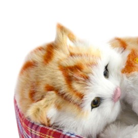 Fenteer Sleeping Cats Toy Stuffed Interactive Pet Toy Lifelike Mini Kitten in Pet Pad Make Sounds Doll Office Simulation Lovely Cat, Body Orange Cat