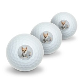 GRAPHICS & MORE Chihuahua Little Dog in a Sweater Novelty Golf Balls 3 Pack