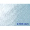 AAZV Nakamurainnsatujyo Horizontal Opening Notebook, A5, Brain Refreshing Notebook, Graph