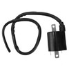 Large Displacement 2 Pins Ignition Coil for Yamaha Cart G2