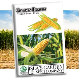 Golden Beauty Yellow Corn Seeds (Zea mays) – 100+ Heirloom Non-GMO Seeds per Packet by Isla’s Garden Seeds, Sweet and Tender, Perfect for Roasting, Grilling, and Fresh Eating, Great Home Garden Gift