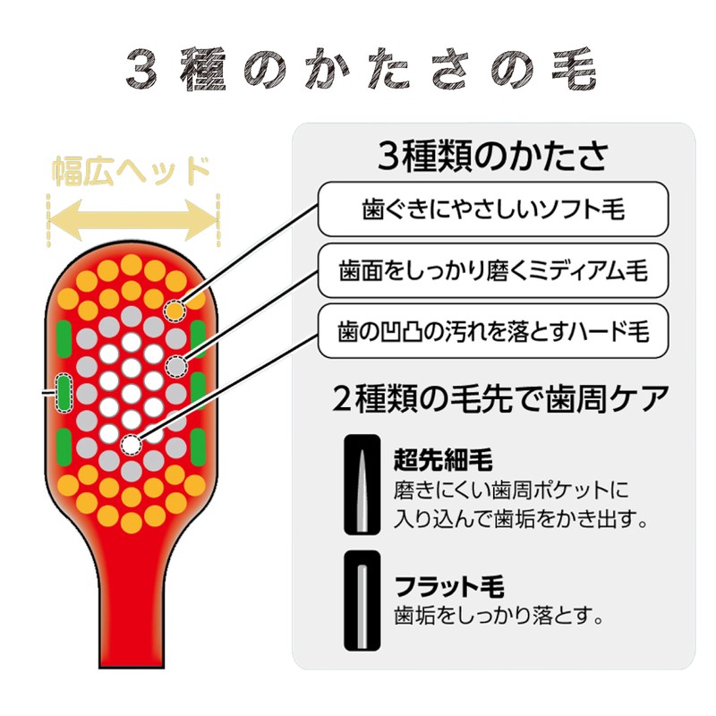 Ebisu The Premium Care Periodontal Pocket Plus, Normal, Set of