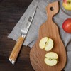 HOSHANHO Damascus Paring Knife 3.75 Inch, Professional 67 Layers Damascus
