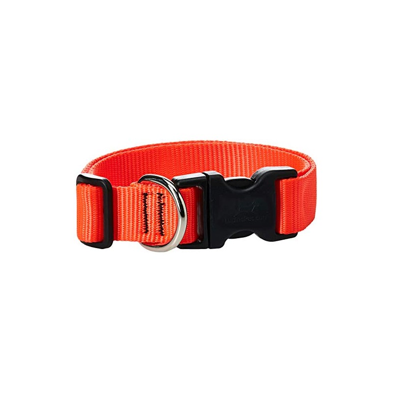 LupinePet Basics 1" Blaze Orange 16-28" Adjustable Collar for Large